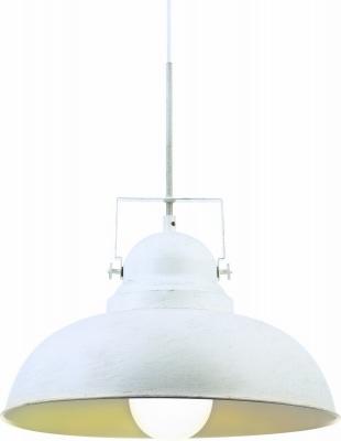 Светильник подвесной Arte Lamp арт. A5213SP-1WG