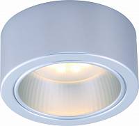 Накладной потолочный светильник Arte Lamp арт. A5553PL-1GY